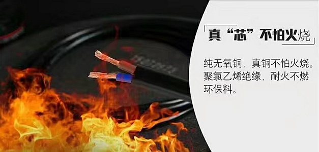 檢針機電源線(xiàn)1.jpg